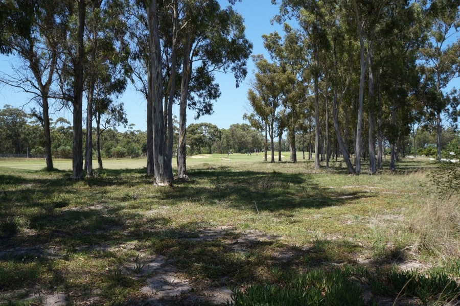 0 Bedroom Property for Sale in Wedgewood Golf Estate Eastern Cape